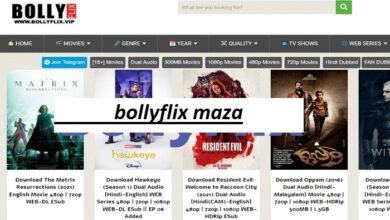 bollyflix maza