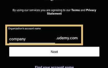 Business Udemy Login