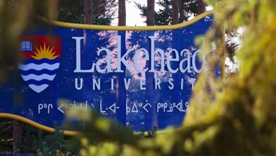 courselink lakehead