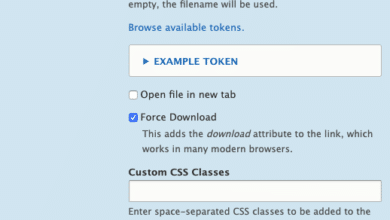 Link to Download File