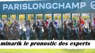 minarik le pronostic des experts