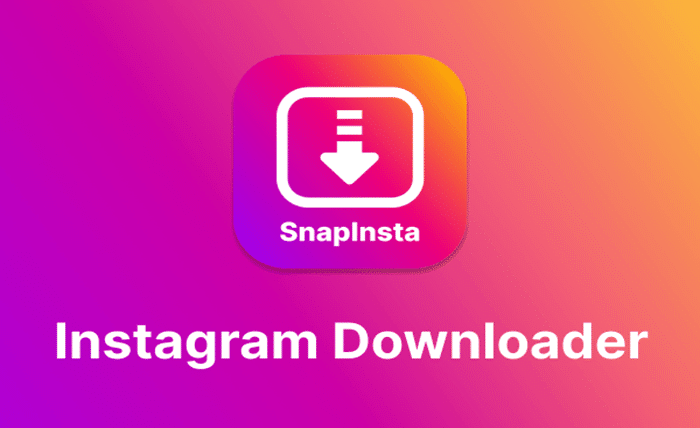 snapinsta without watermark