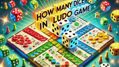Ludo Dice