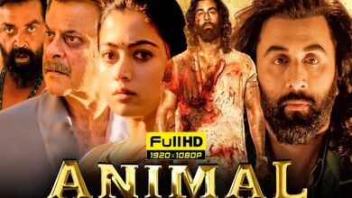 animal movie download