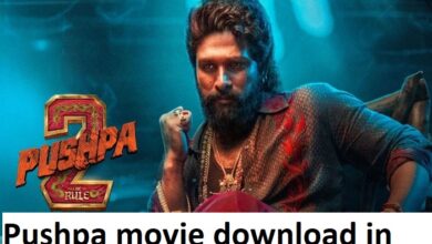 pushpa movie download in hindi